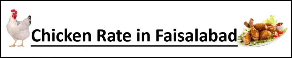 Chicken Rate in Faisalabad