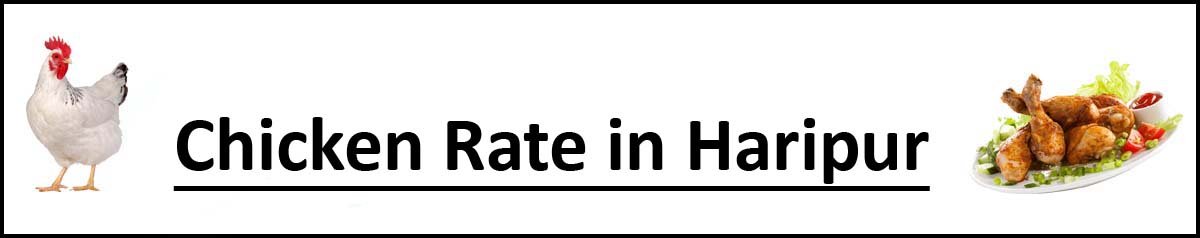 Chicken Rate in Haripur