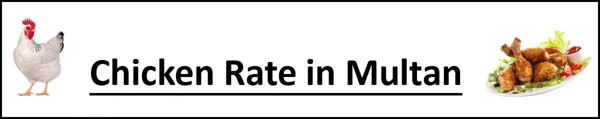 Chicken Rate in Multan Today