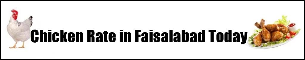 Chicken Rate in Faisalabad Today