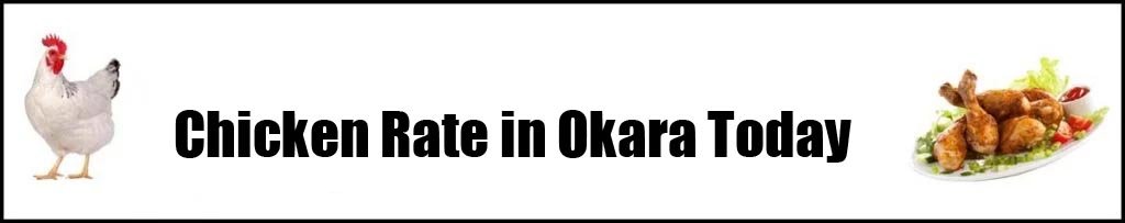 Chicken Rate in Okara Today