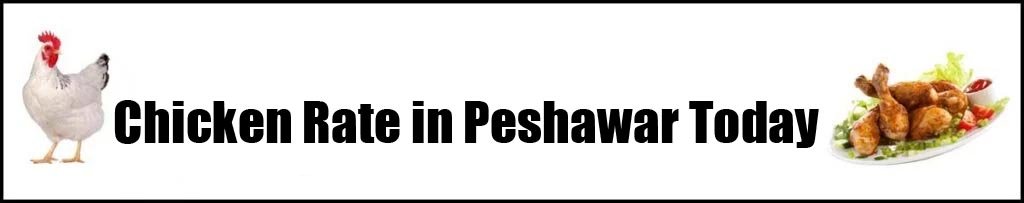 Chicken Rate in Peshawar Today