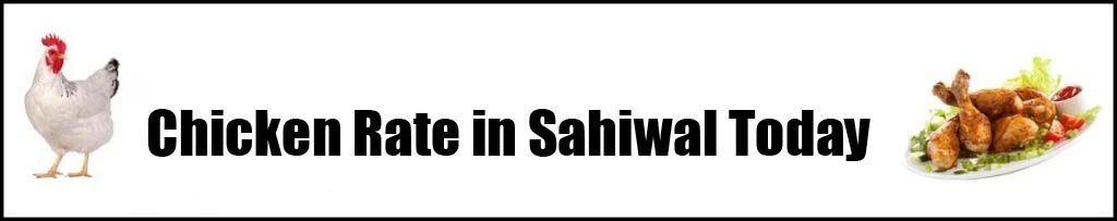 Chicken Rate in Sahiwal Today