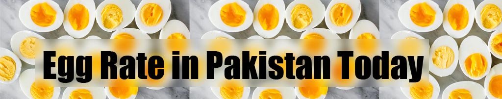 Egg Rate in Pakistan Today