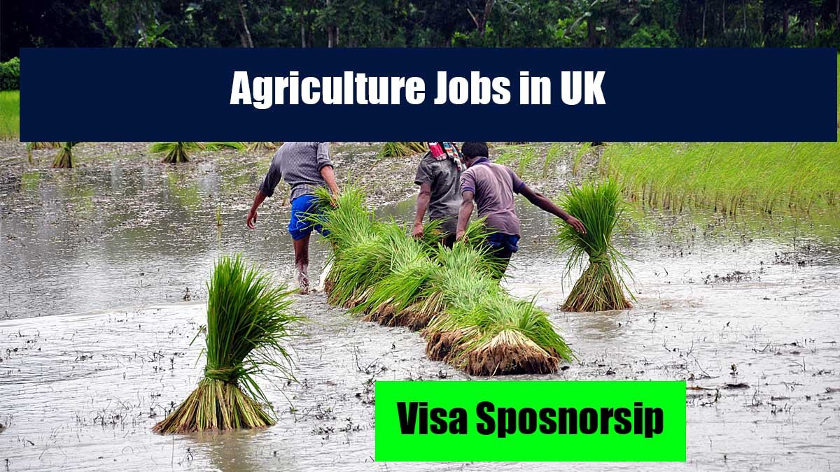 Agriculture Jobs in UK with Visa Sponsorship 2025