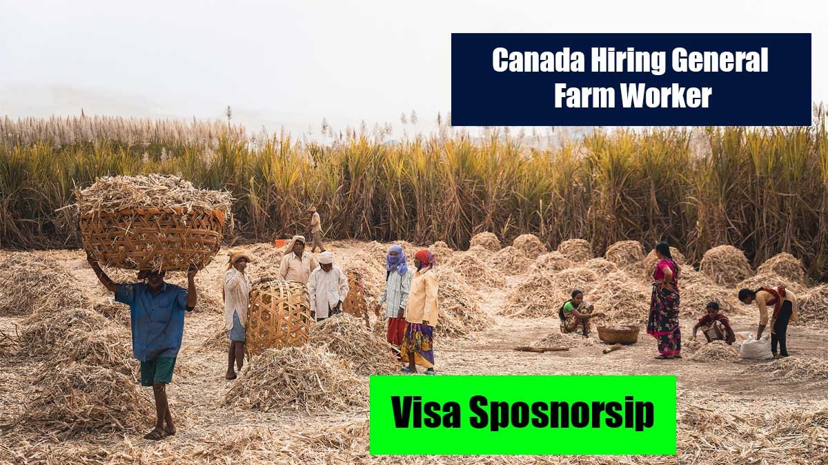 Canada Hiring General Farm Workers with Visa Sponsorship