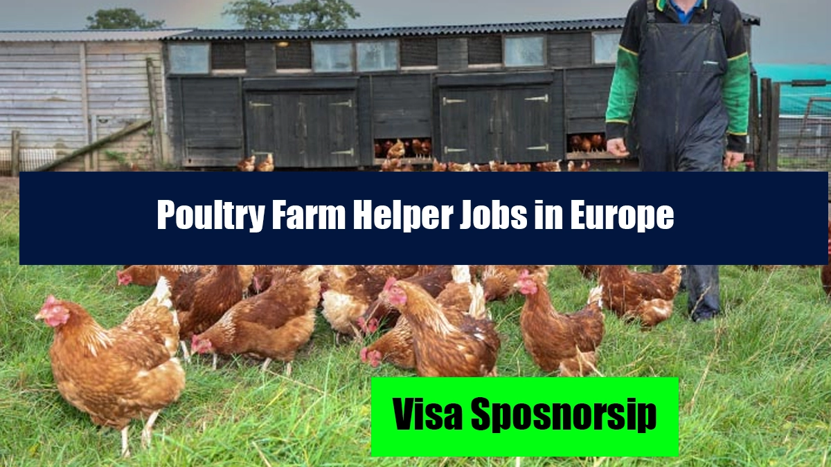 Poultry Farm Helper Jobs in Europe with Visa Sponsorship 2025