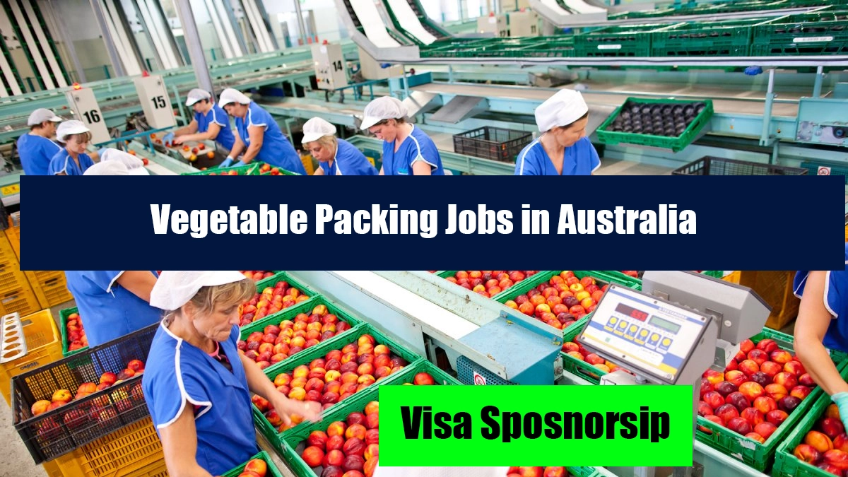 Vegetable Packing Jobs in Australia with Visa Sponsorship 2025