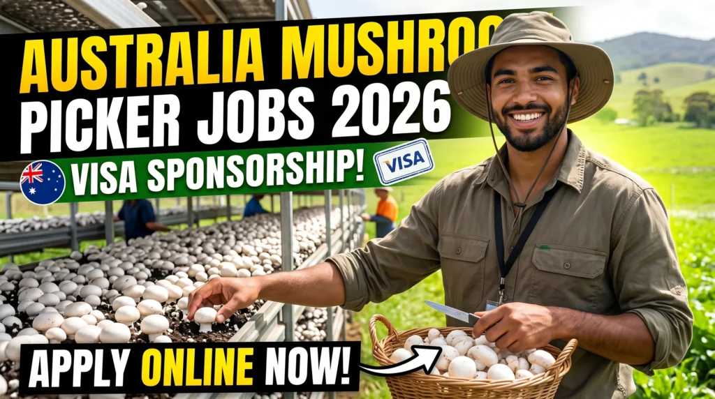 Australia Mushroom Picker Jobs