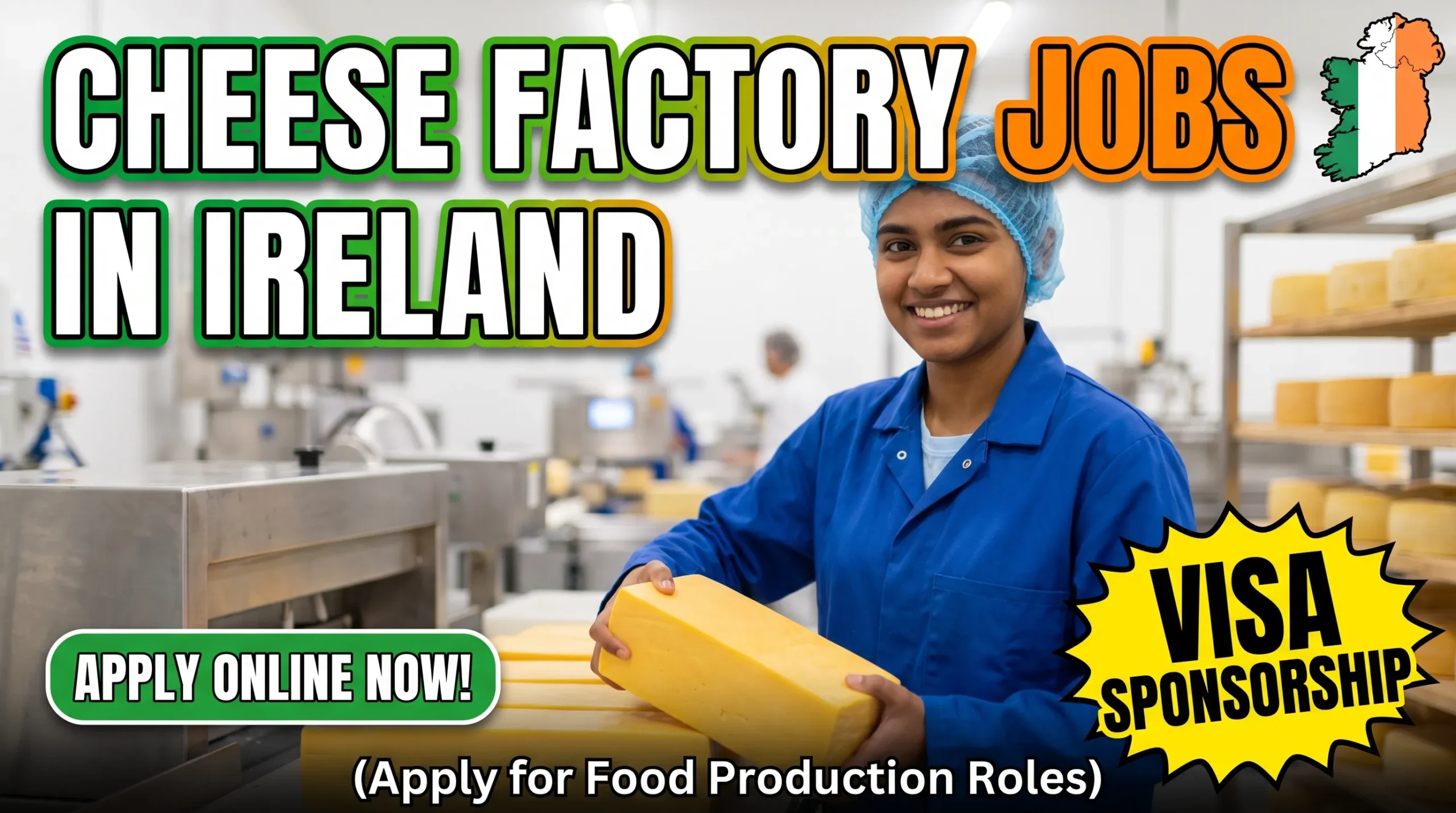 Cheese Factory Jobs in Ireland
